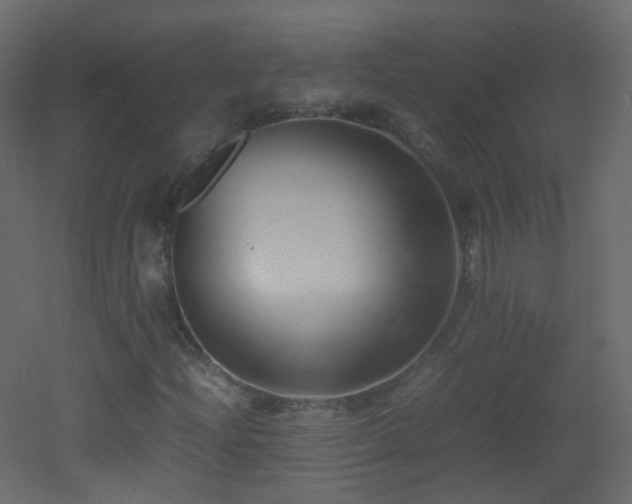 X0000053051204200507111117