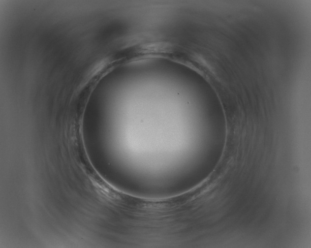 X0000053051211200507111117