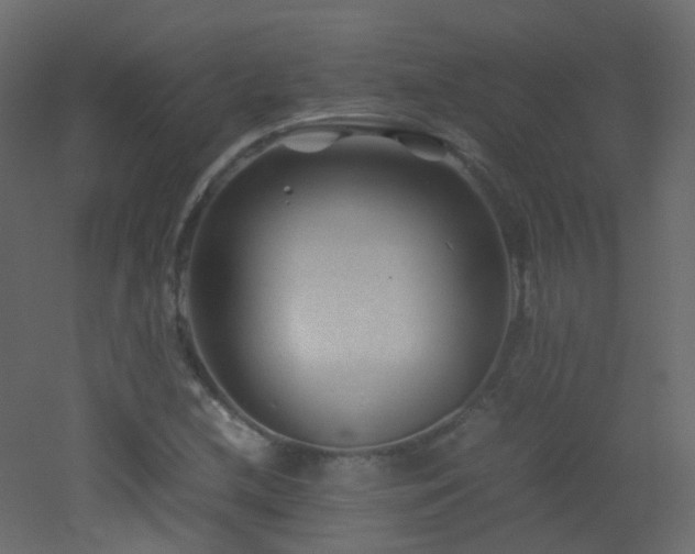 X0000053051212200507111117
