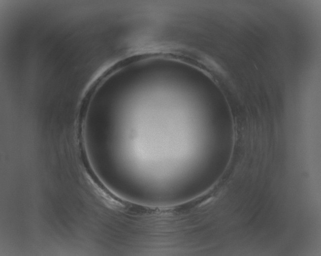 X0000053051216200507111117
