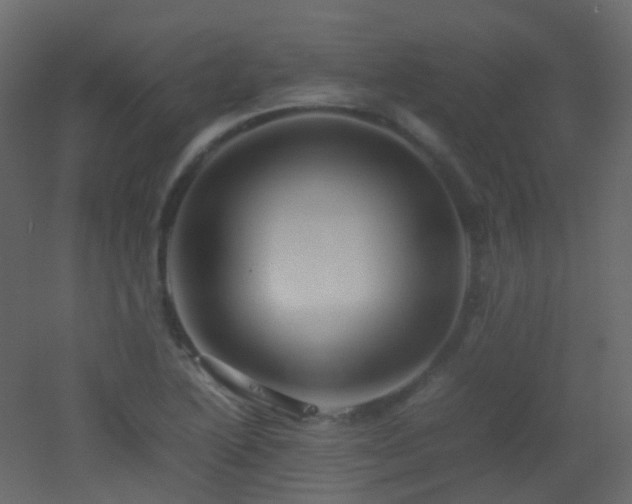 X0000053051222200507111117
