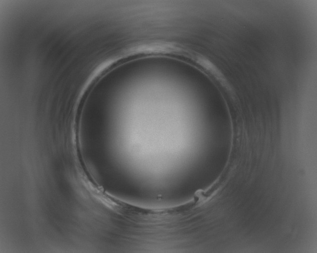 X0000053051232200507111117