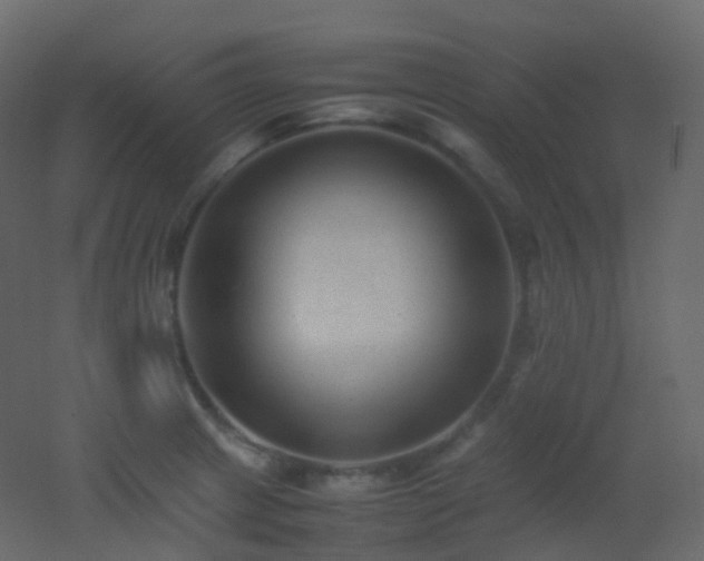 X0000053051233200507111117