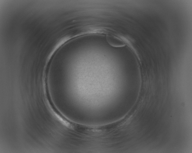 X0000053051235200507111117