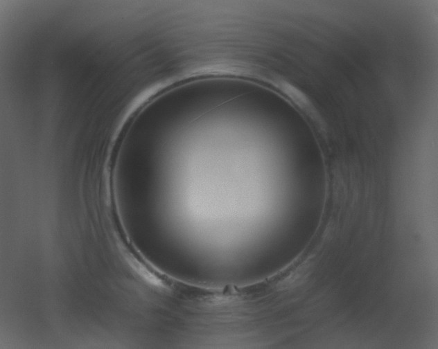 X0000053051238200507111117