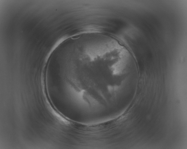 X0000053051243200507111118