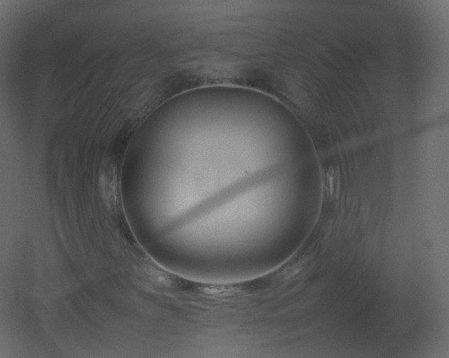 X0000053051251200507111117