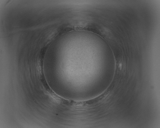 X0000053051252200507111117