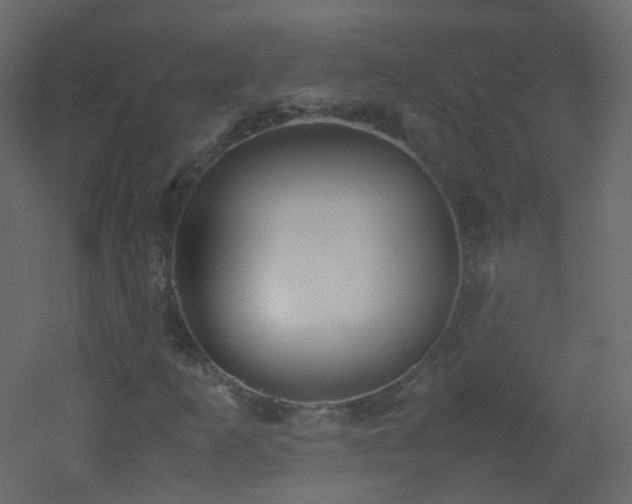 X0000053051253200507111117