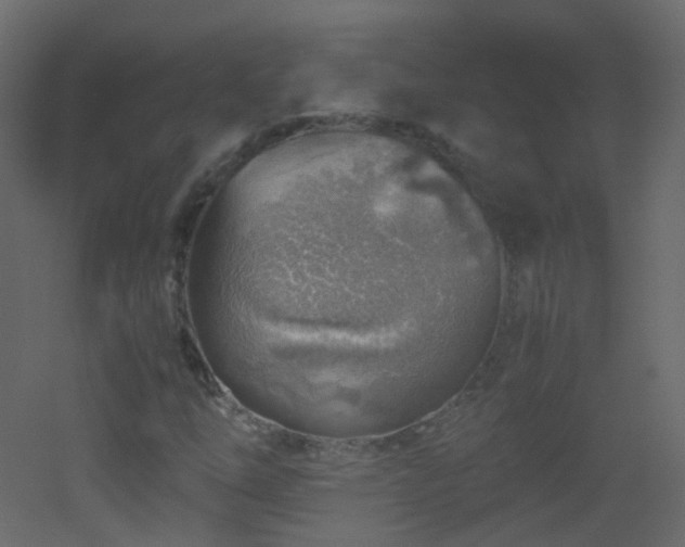 X0000053051254200507111117