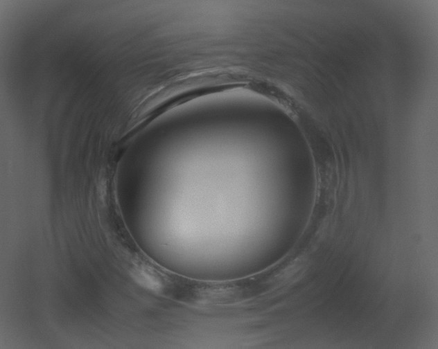 X0000053051257200507111117