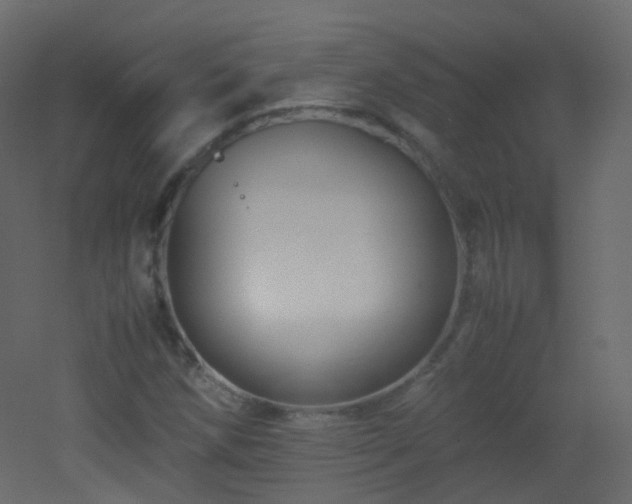 X0000053051258200507111117