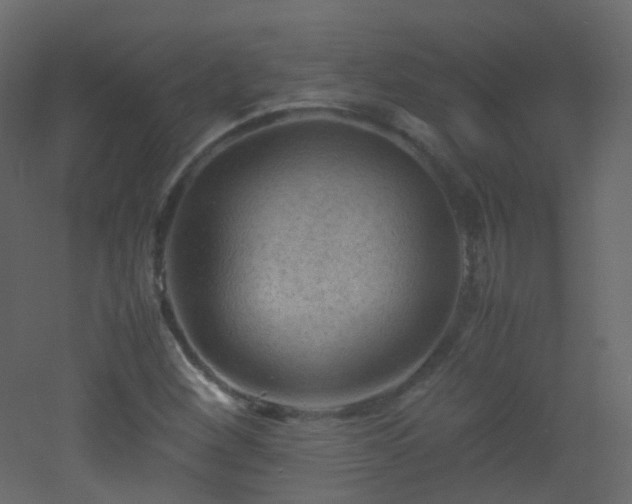X0000053051260200507111117