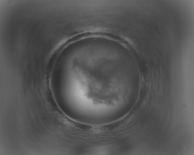 X0000053051263200507111117
