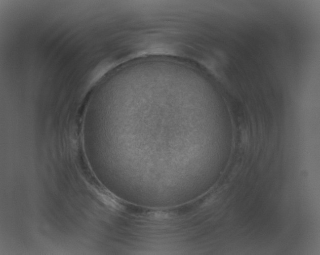 X0000053051266200507111117