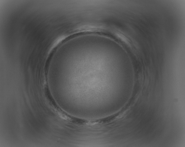 X0000053051267200507111117