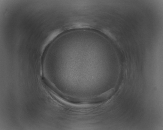 X0000053051269200507111117