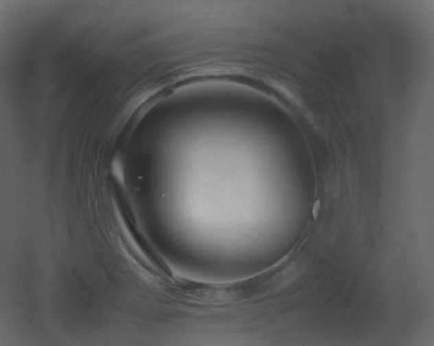 X0000053051273200507111116