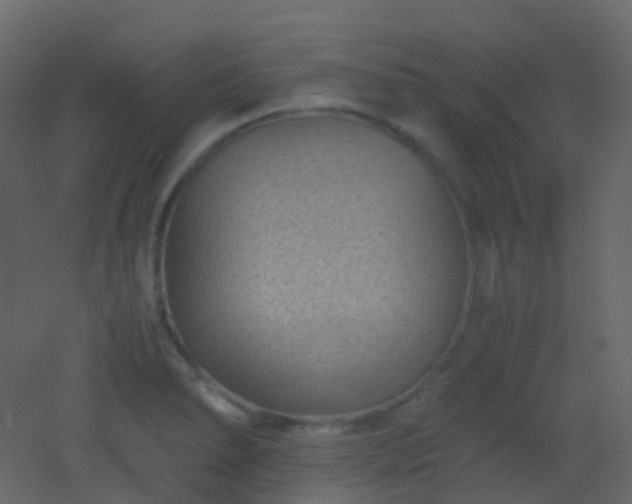 X0000053051278200507111116
