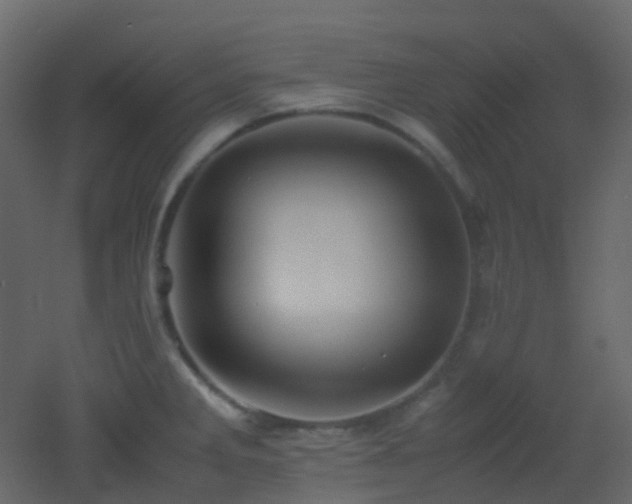 X0000053051285200507111116