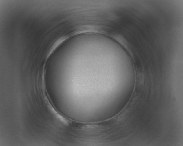 X0000053051290200507111116