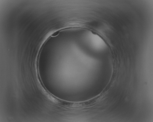 X0000053051291200507111116