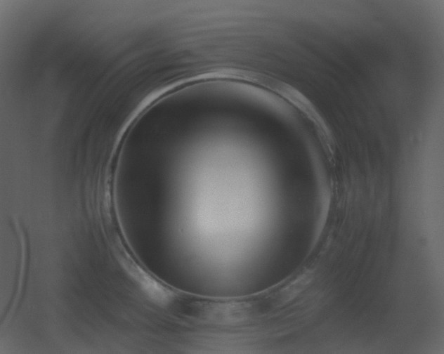 X0000053051292200507111116
