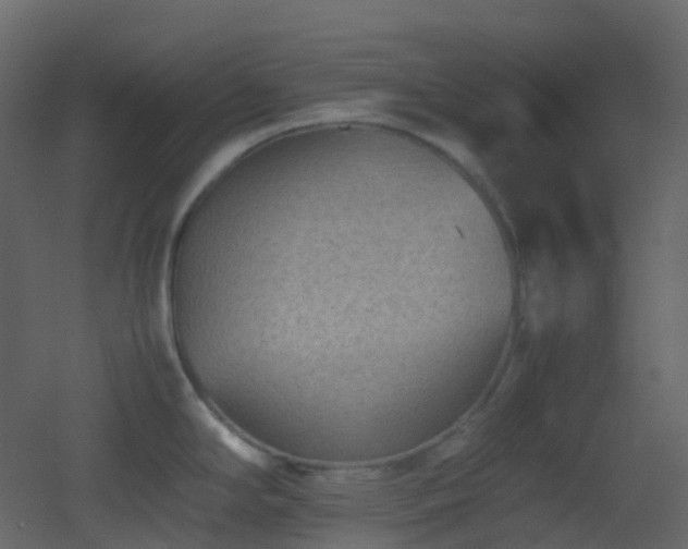 X0000053051294200507111116