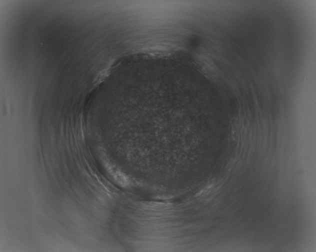 X0000053051298200507111115