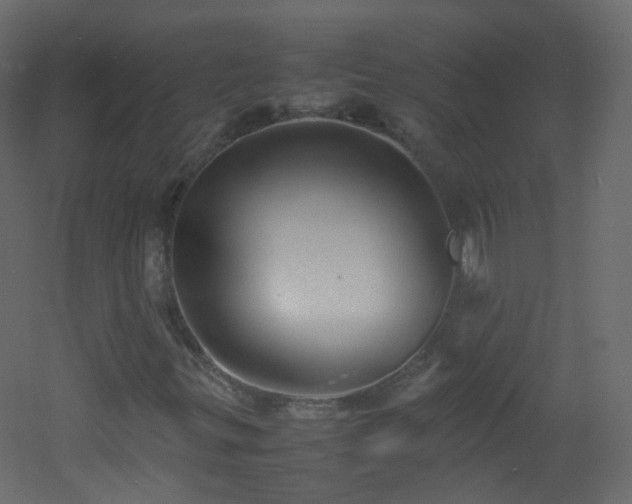X0000053051299200507111115