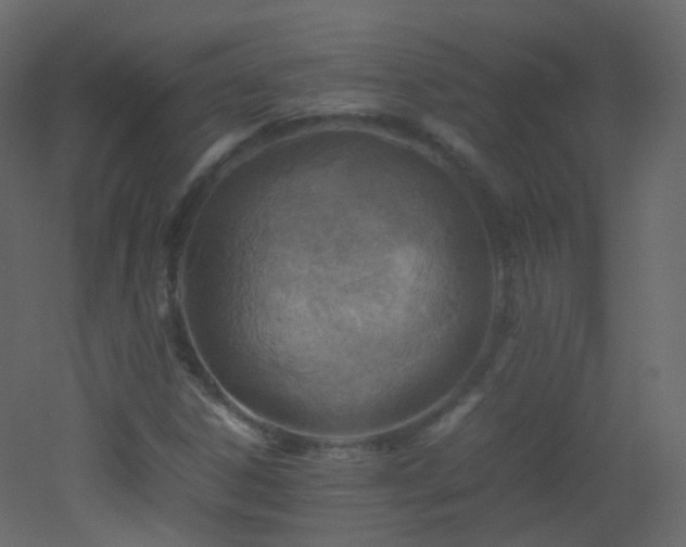 X0000053051306200507111115