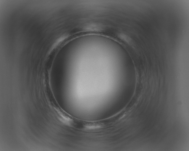 X0000053051307200507111115