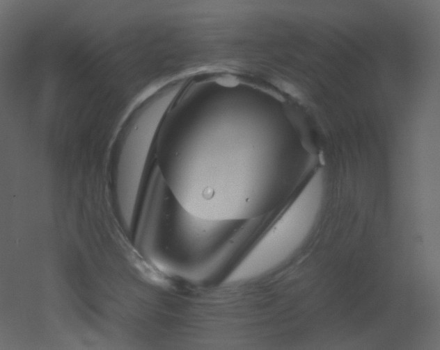 X0000053051308200507111115