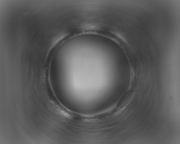 X0000053051309200507111115