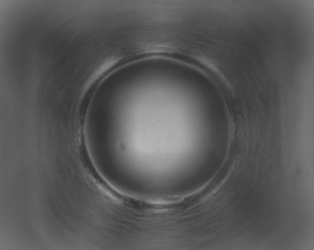 X0000053051317200507111116