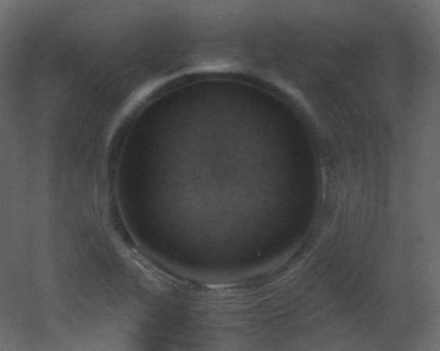 X0000053051319200507111116