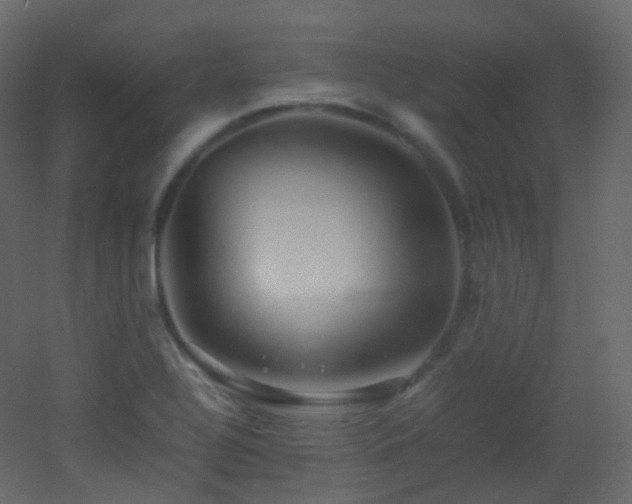X0000053051320200507111116