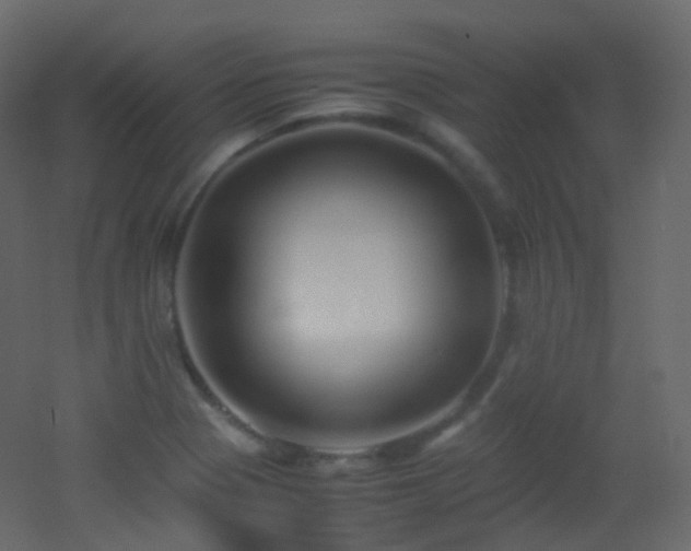 X0000053051321200507111116