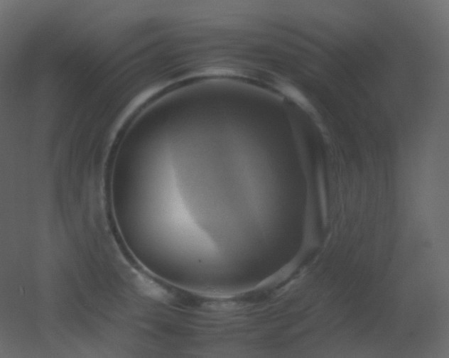 X0000053051331200507111116