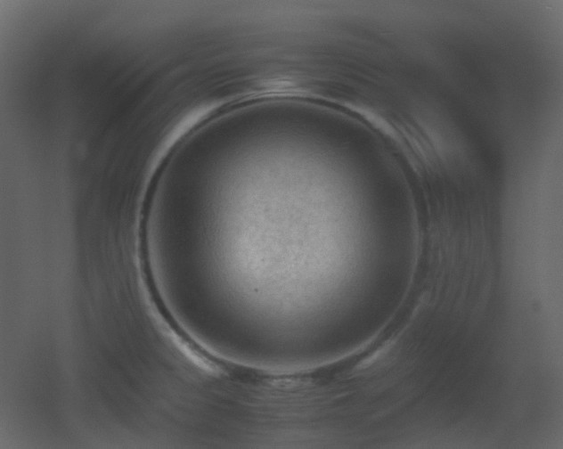 X0000053051333200507111116