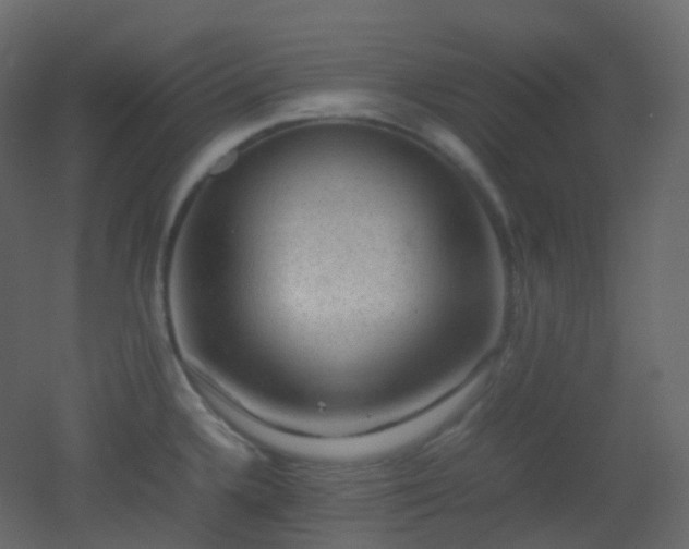 X0000053051336200507111116