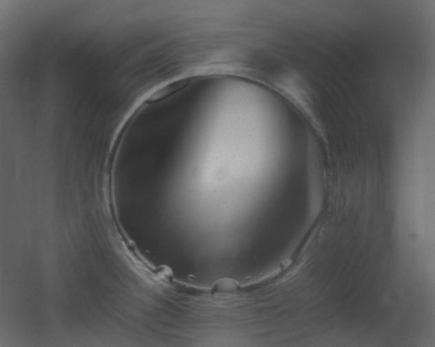 X0000053051340200507111116