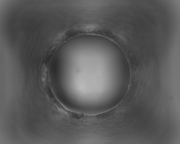 X0000053051349200507111115