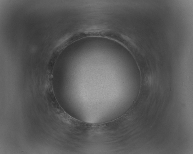 X0000053051350200507111115