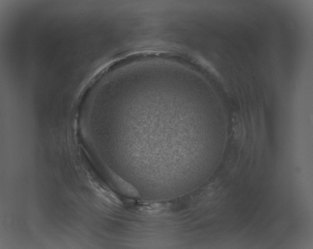 X0000053051352200507111115