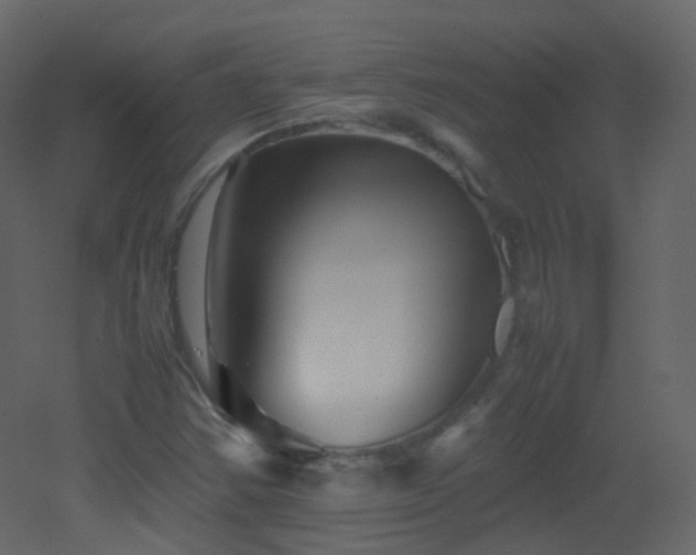 X0000053051354200507111115