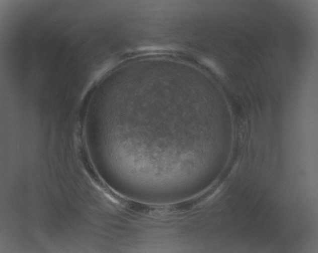 X0000053051357200507111115