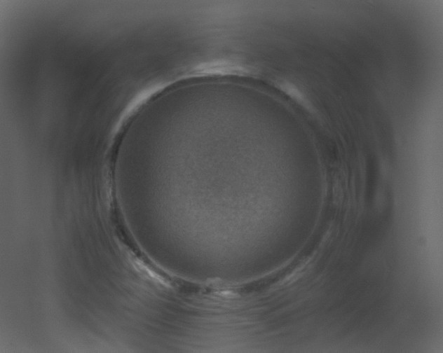 X0000053051358200507111115