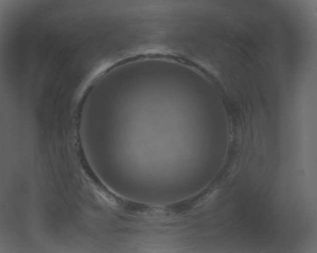 X0000053051359200507111115