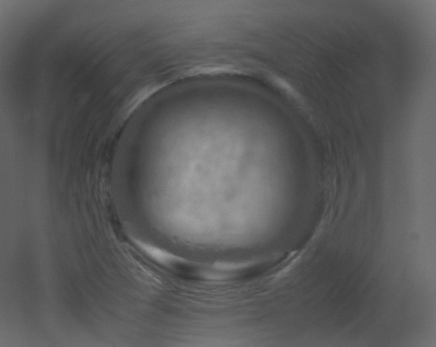 X0000053051361200507111115